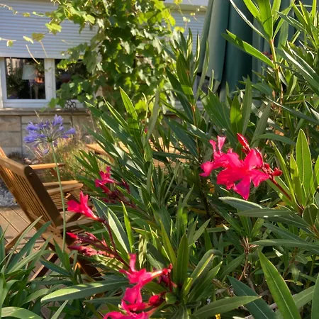 Daire Sonja Am Weinberg Radebeul