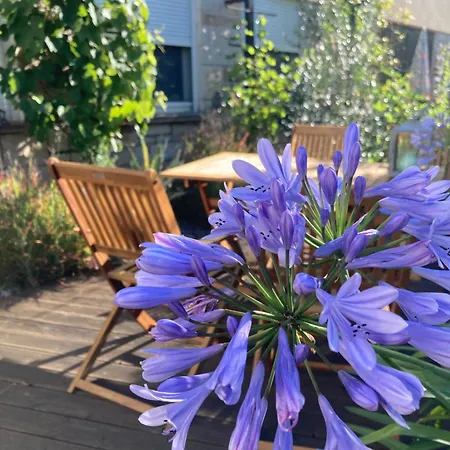 Sonja Am Weinberg * Radebeul