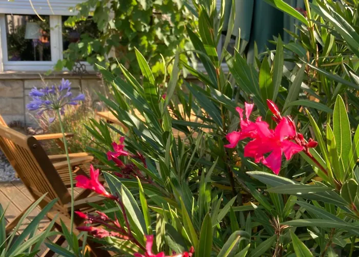 Apartman Sonja Am Weinberg Radebeul