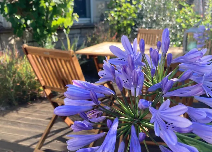 Sonja Am Weinberg * Radebeul